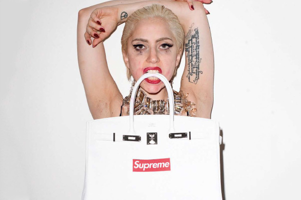 Lady Gaga Supreme. Lady Gaga x Supreme x Hermes ?